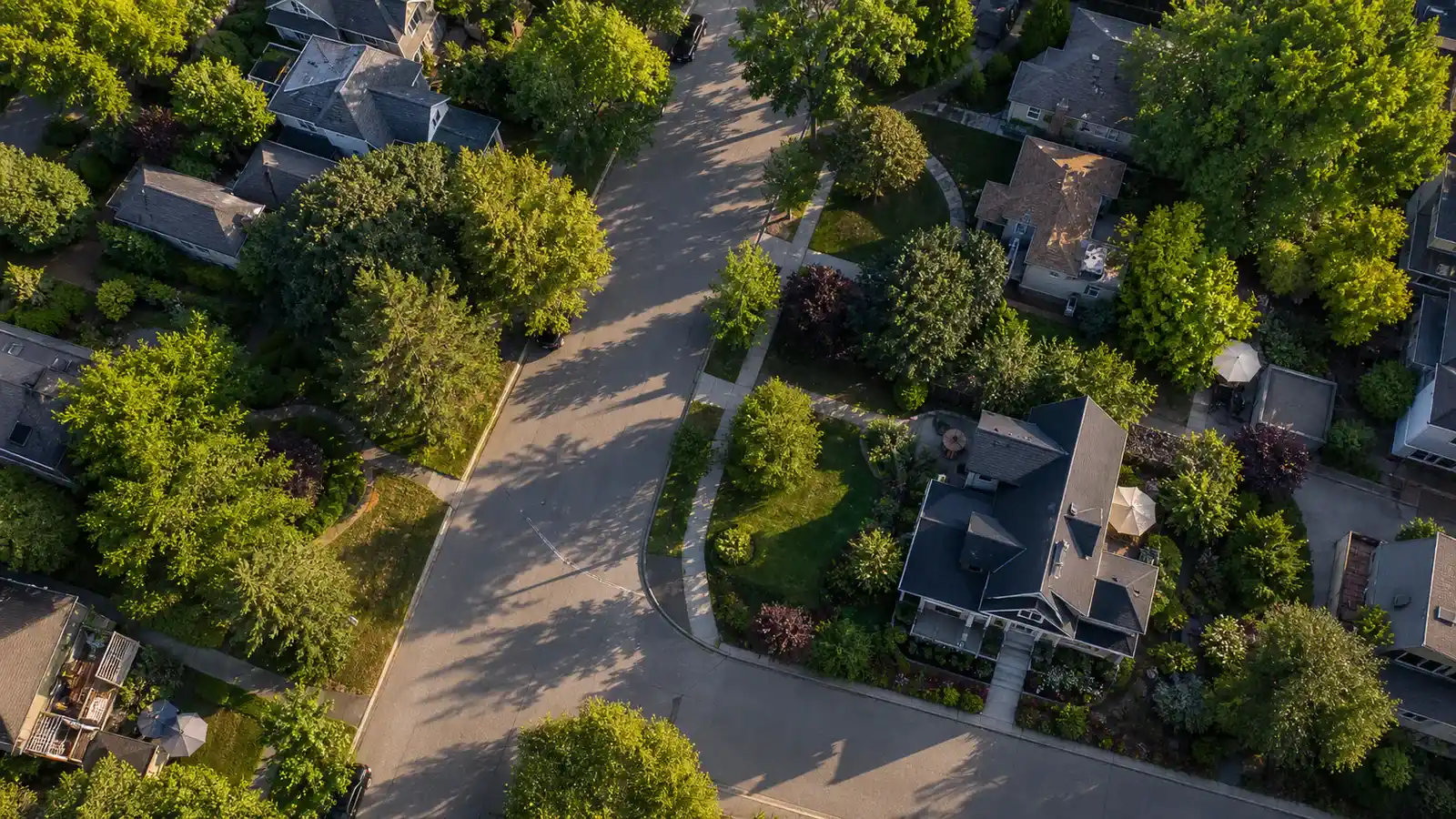 An overhead view of homes in a tree-lined neighborhood